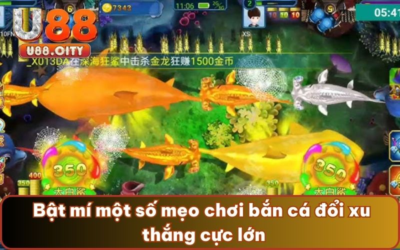 Bật mí một số mẹo chơi bắn cá đổi xu thắng cực lớn