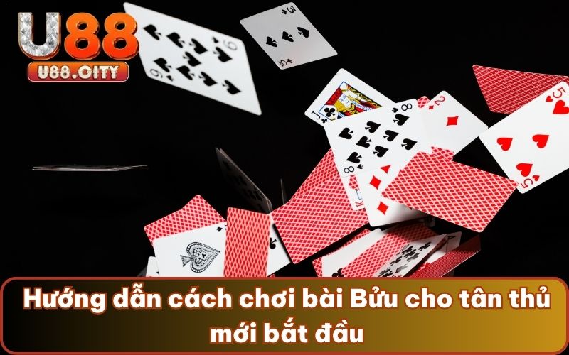 Hướng dẫn cách chơi bài Bửu cho tân thủ mới bắt đầu
