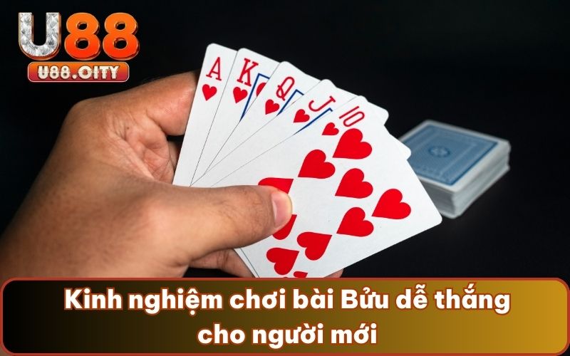  Kinh nghiệm chơi bài Bửu dễ thắng cho người mới