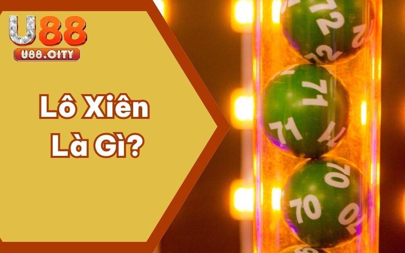 Lô Xiên Là Gì? Cách Nuôi Lô Vào Bờ Một Cách An Toàn