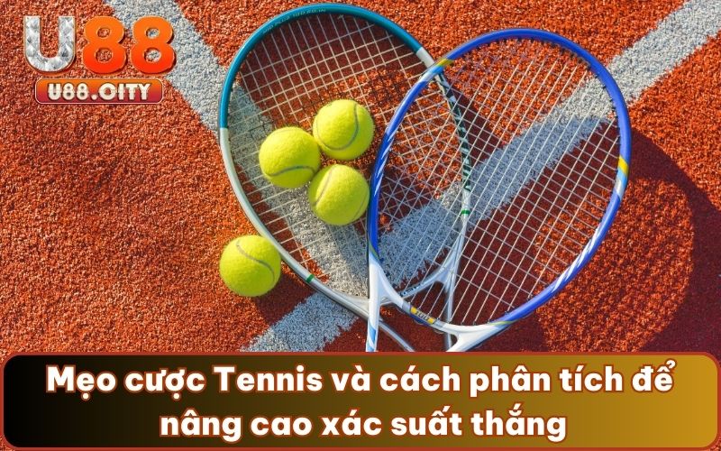 Mẹo cược Tennis và cách phân tích để nâng cao xác suất thắng